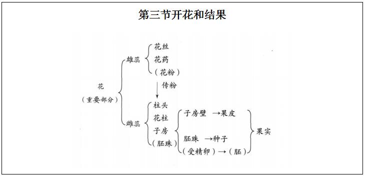 2020年重庆教师招聘:《开花和结果》 说课稿
