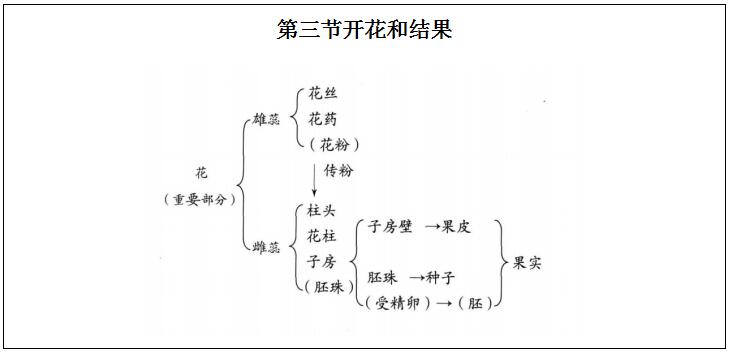 2020年重庆教师招聘：《开花和结果》 说课稿